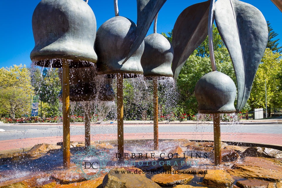Gumnut-Fountain-Sculpture-3.jpg