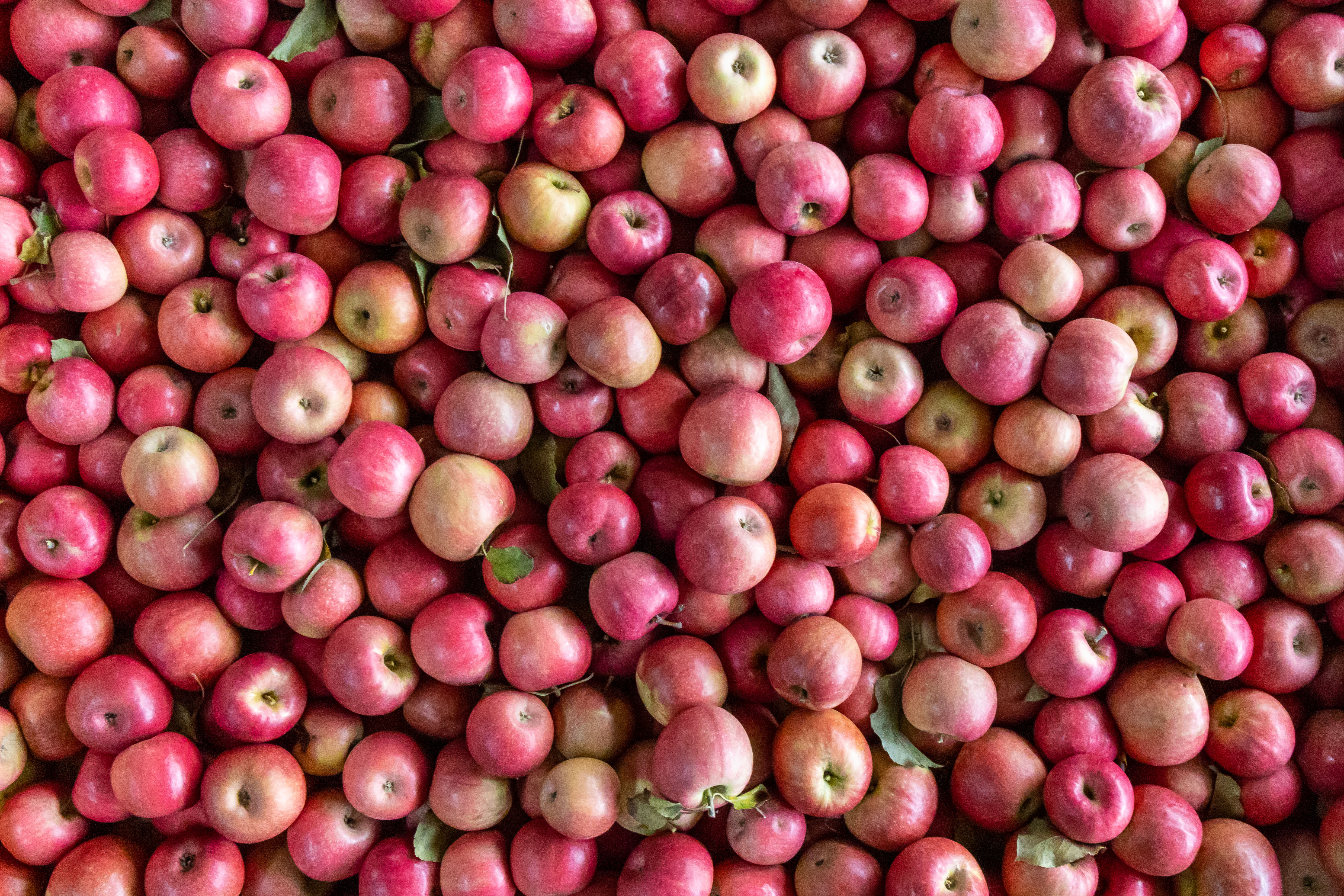Carmel_Cider